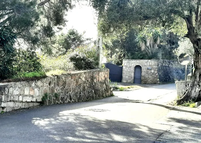 Studio Cappella